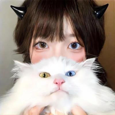 公牛犹斗